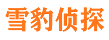 滴道外遇出轨调查取证